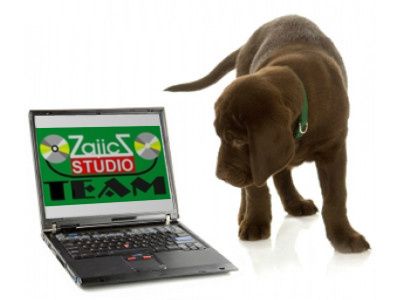 laptop.jpg